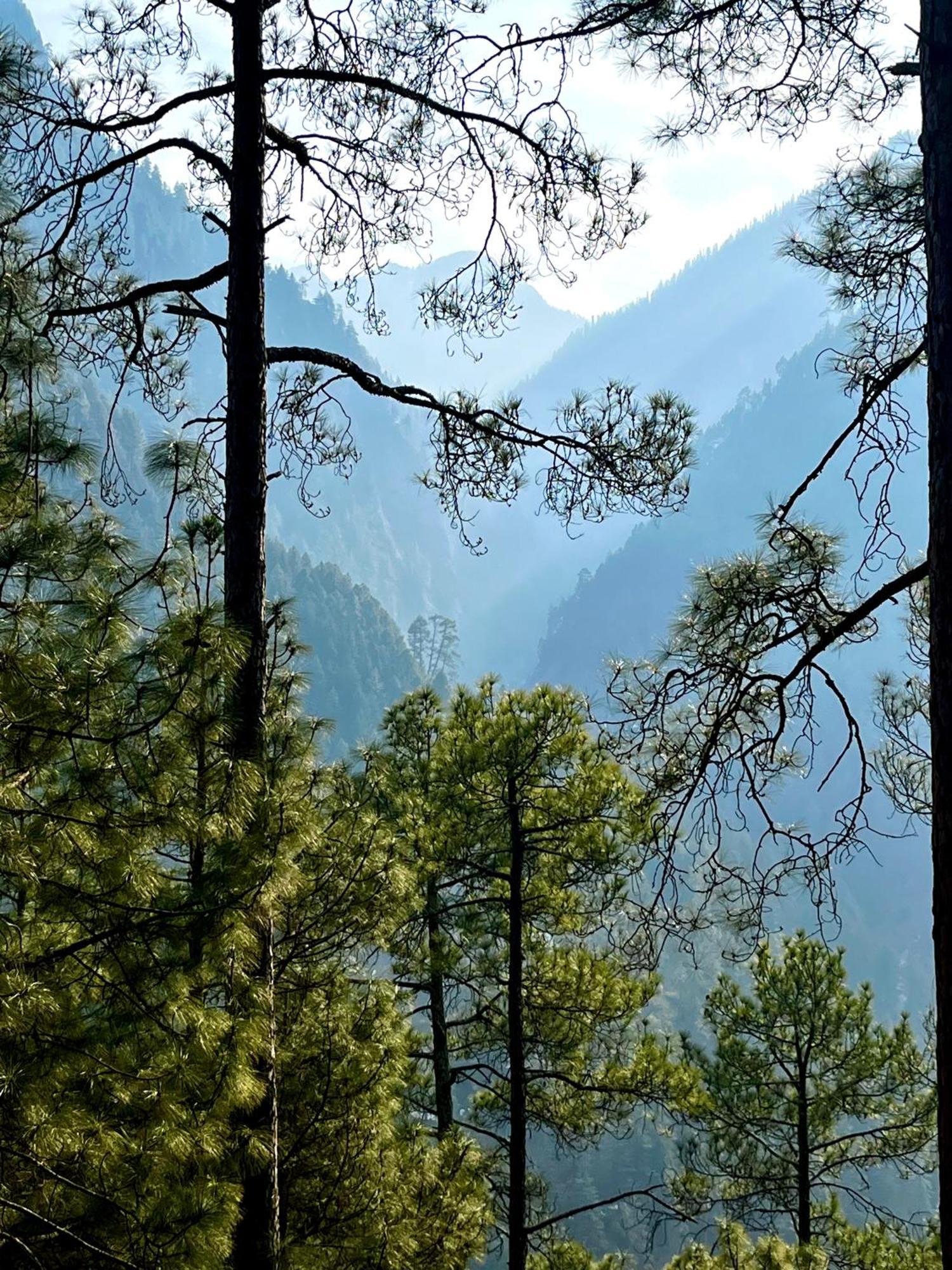 Hotel Adinova Kasol Esterno foto